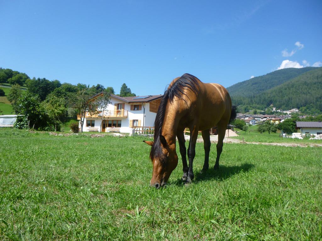 Agriturismo Fattoria Dalcastagne Torcegno Εξωτερικό φωτογραφία
