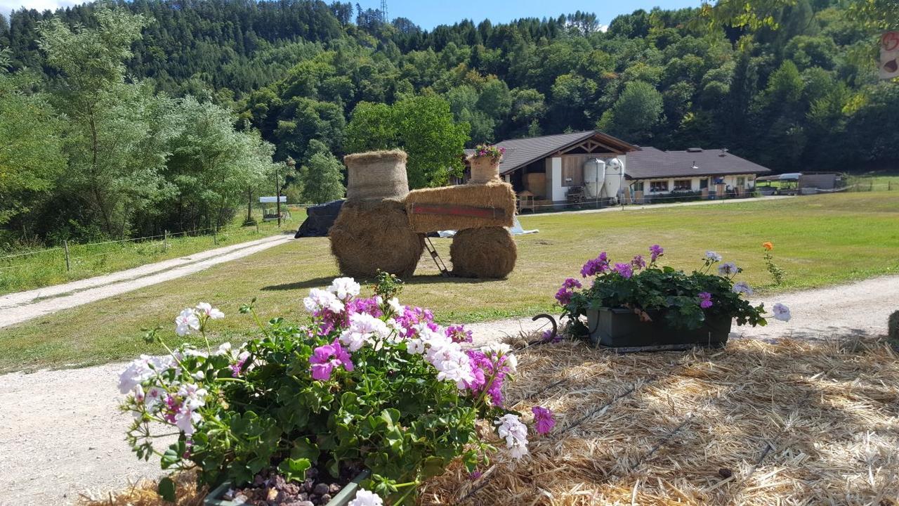 Agriturismo Fattoria Dalcastagne Torcegno Εξωτερικό φωτογραφία