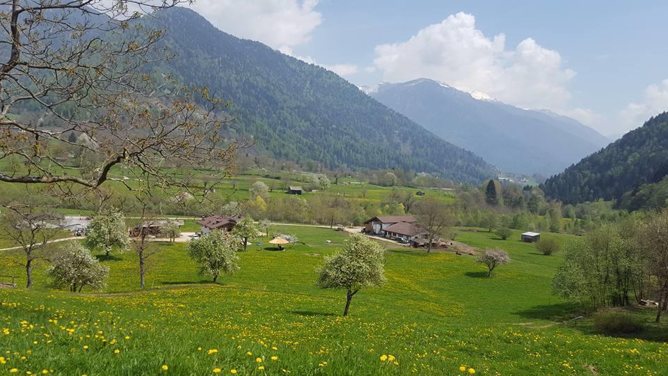Agriturismo Fattoria Dalcastagne Torcegno Εξωτερικό φωτογραφία